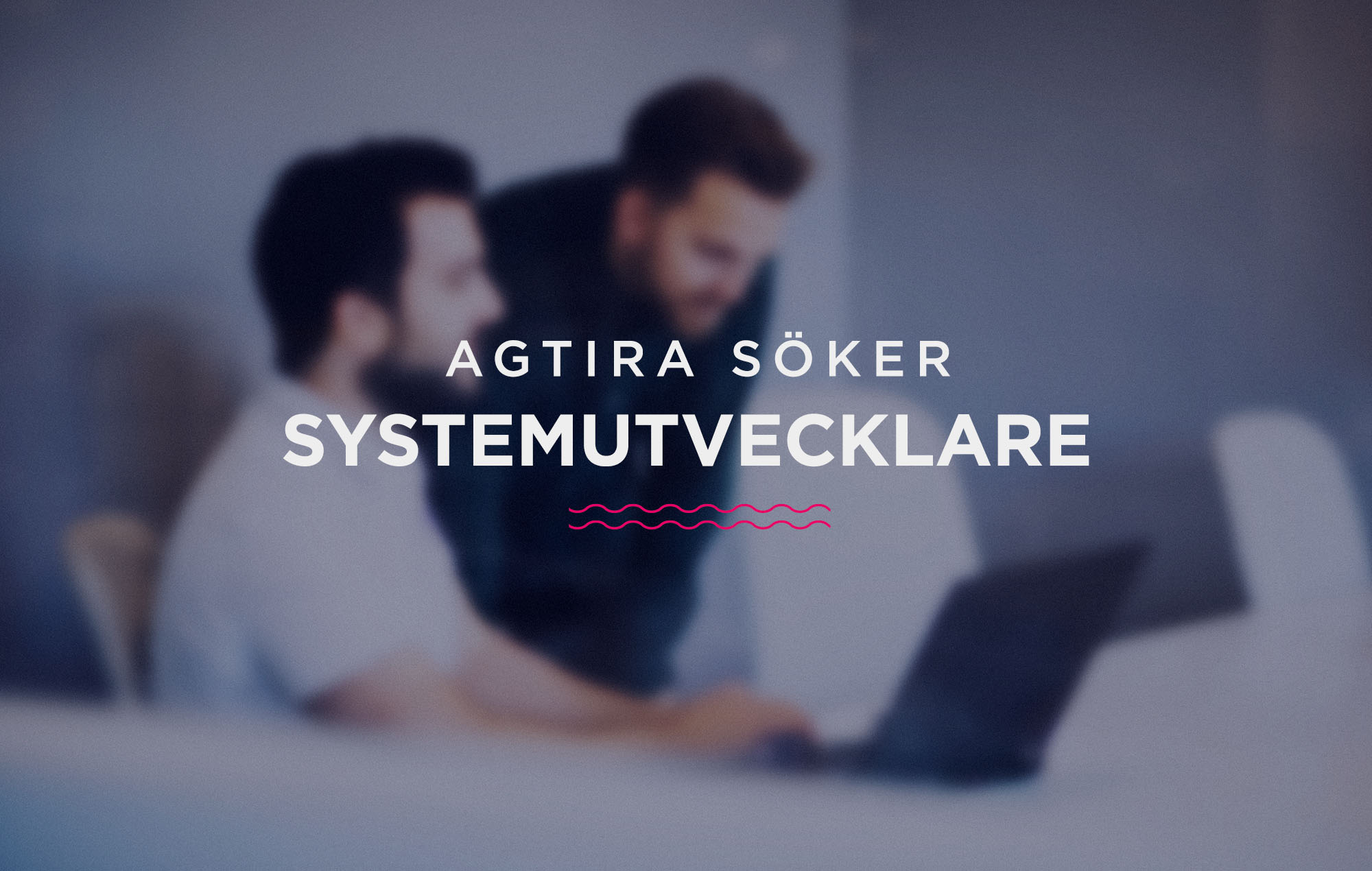 Agtira-systemutvecklare