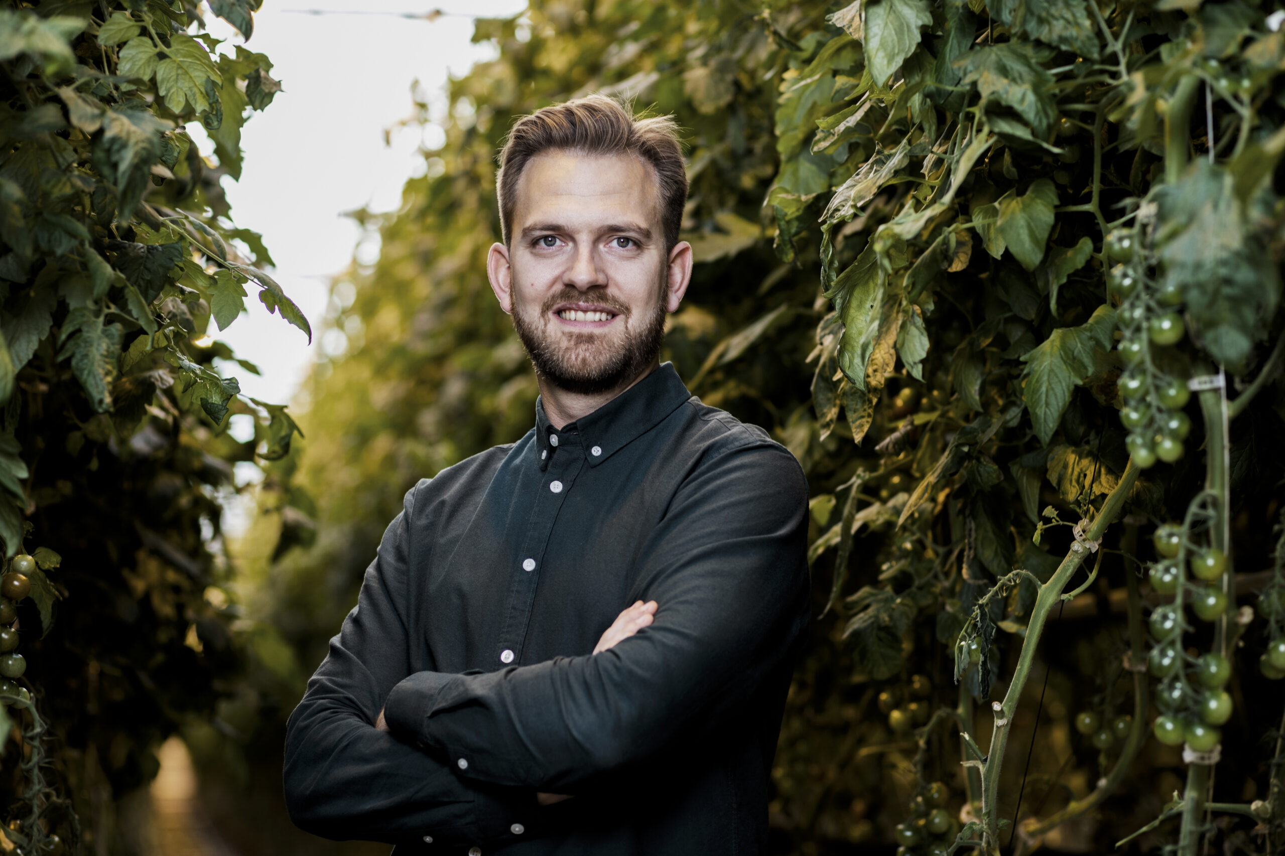 Mattias Gemborg